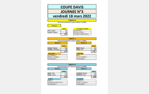 Coupe Davis Tour n°3 [CONVOCATION]